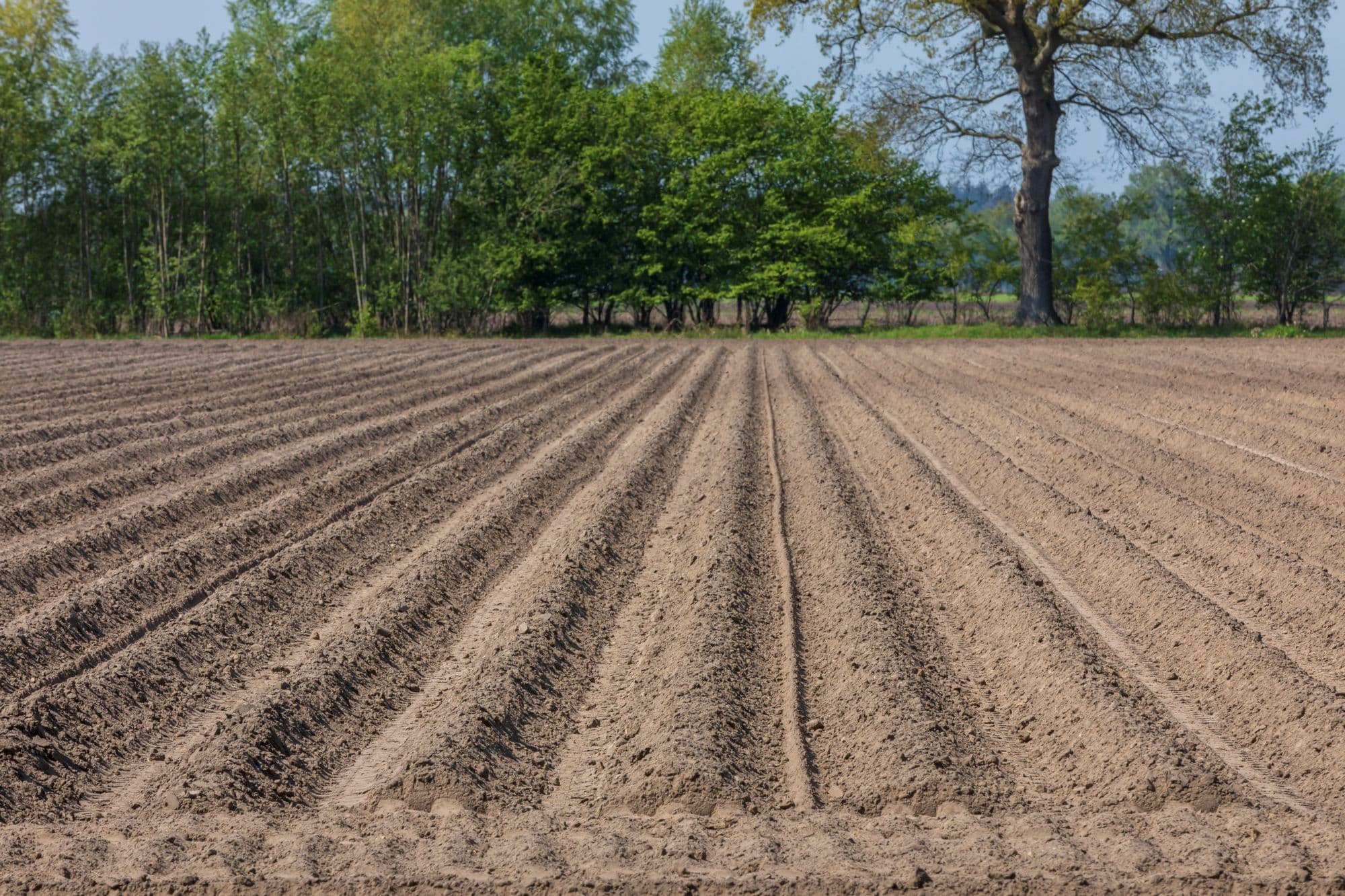 achterhoek landbouwgrond