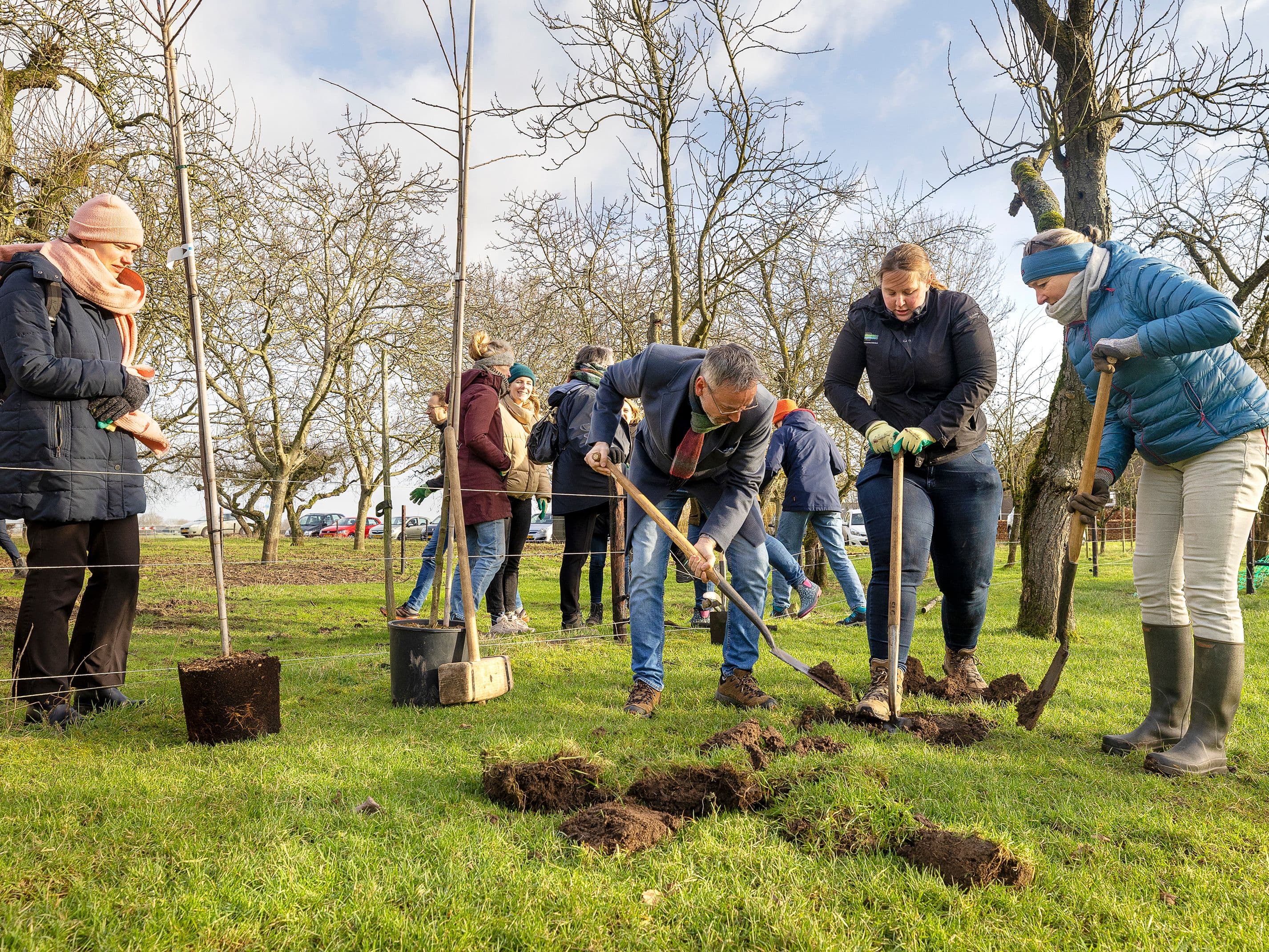 Samen bomen planten