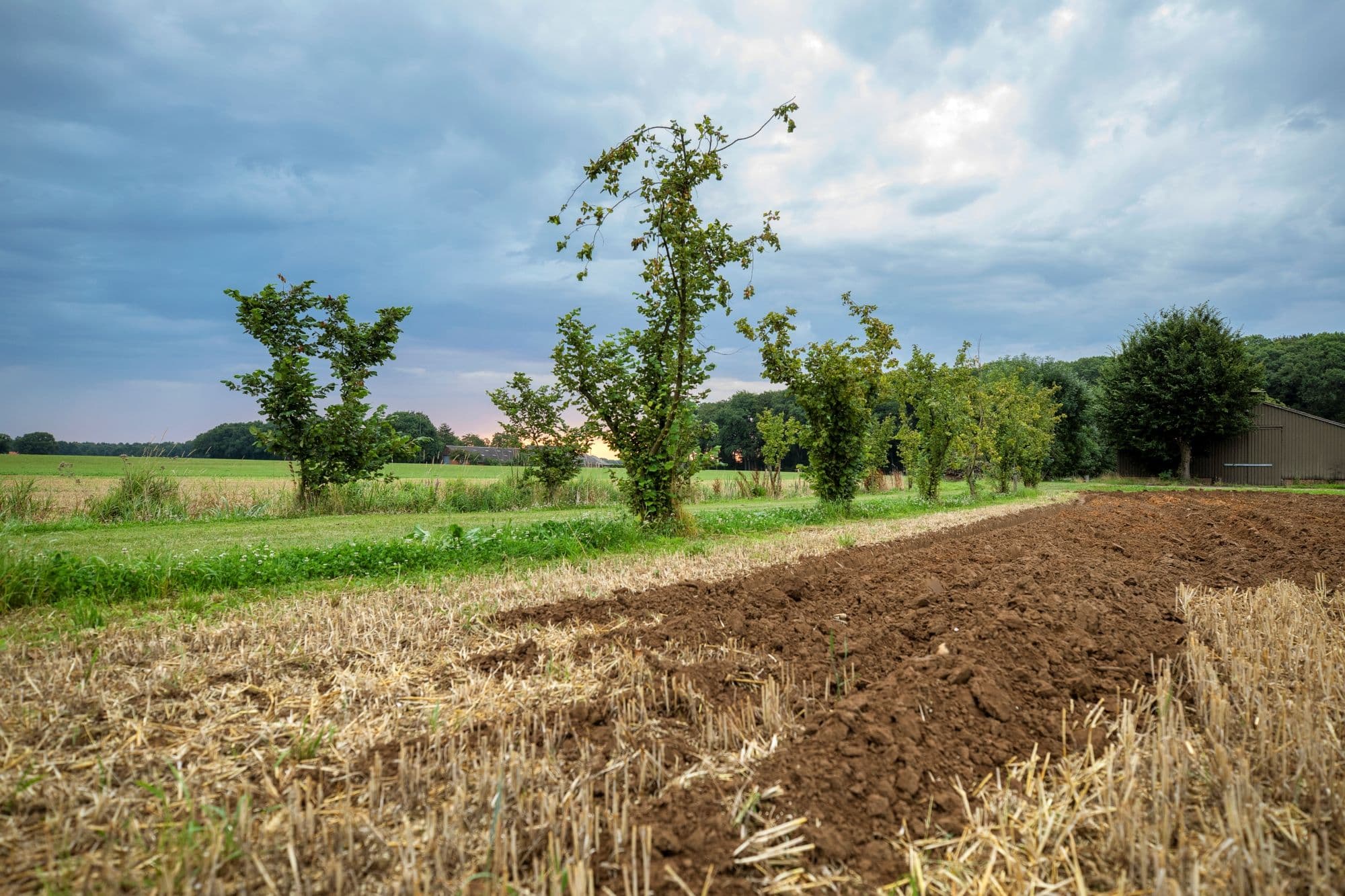 landbouwgrond bewerkt
