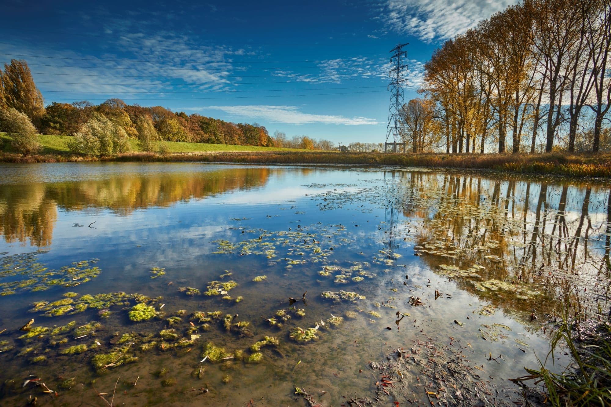 Oosterhoutse uiterwaarden