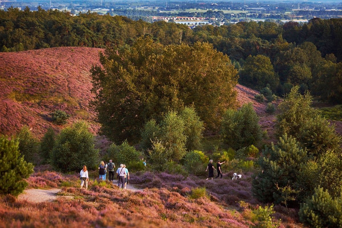 mensen lopen in de natuur