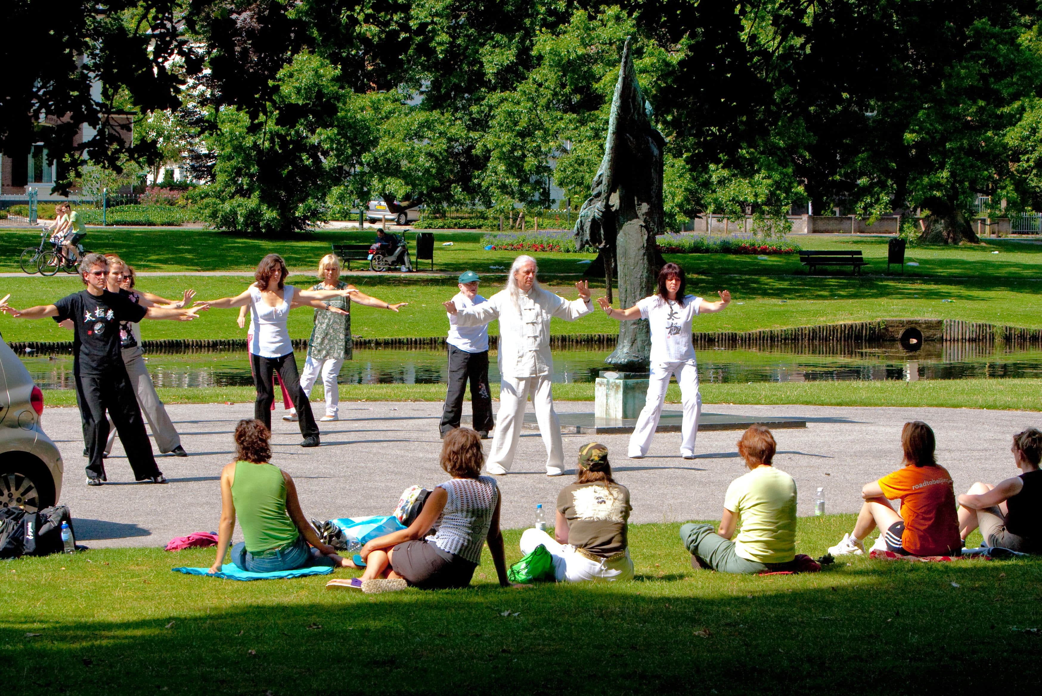 een aantal mensen doet Thai Chi in een park in Apeldoorn, terwijl andere kijken