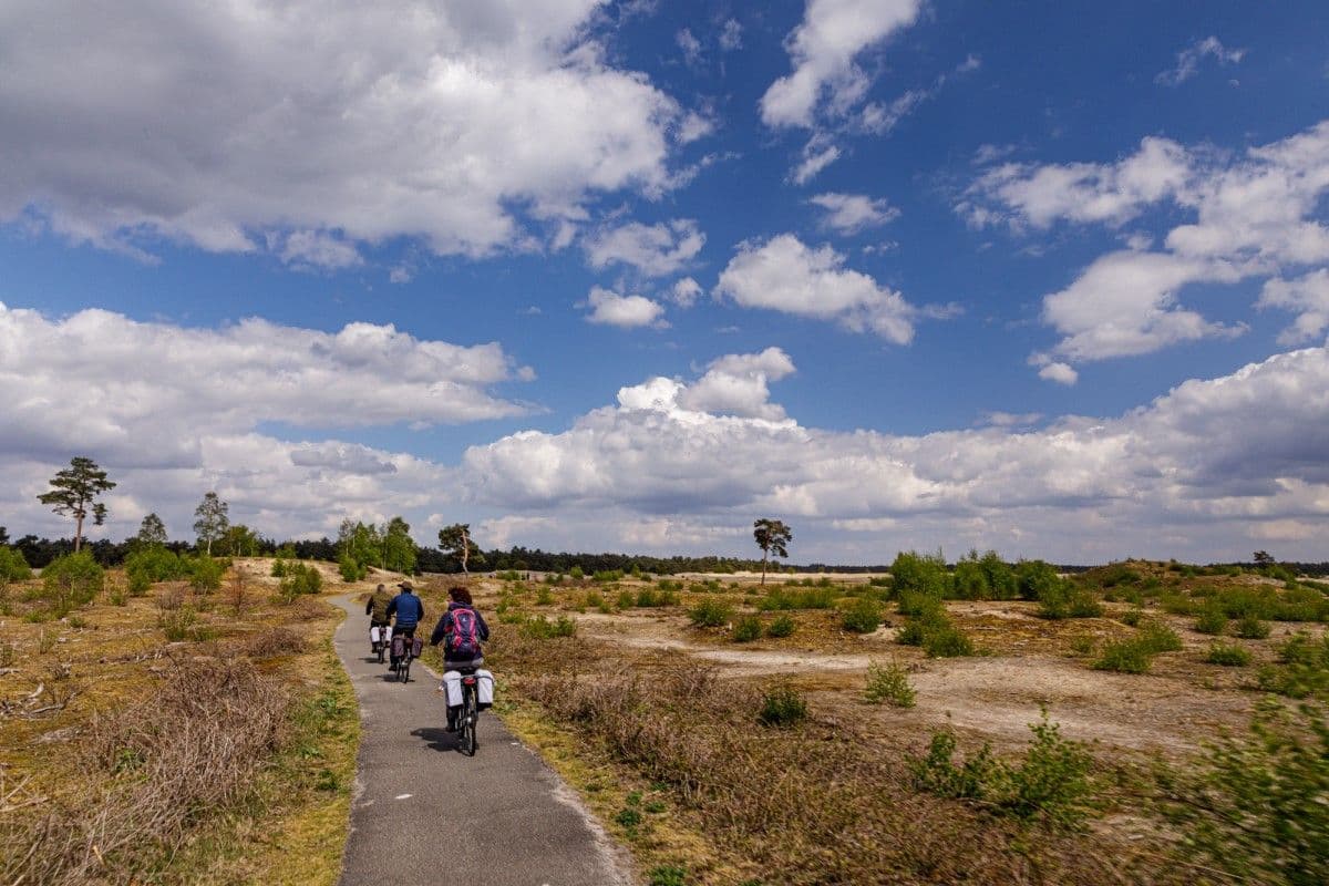 mensen fietsen tussen de natuur
