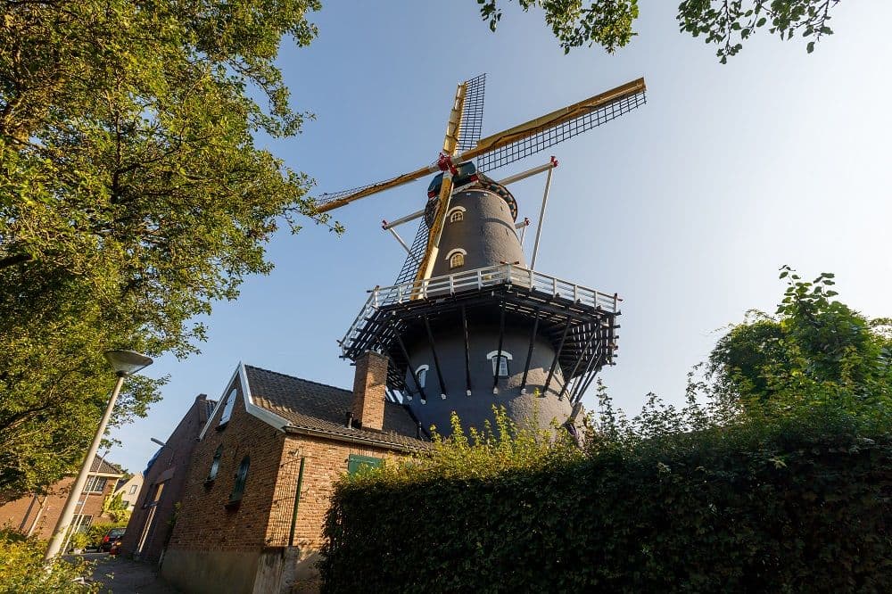 molen